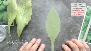 Делаем зубчики на листьях наперстянки. We make cloves on the leaves of foxglove.
