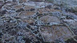 П.И. Чайковский - Детский альбом - Зимнее утро