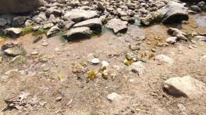 Ключ Чокрак - место где можно пополнить запасы воды для кемпинга на Беляусе Крым