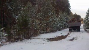 поездка в лес за дровами на газ 66