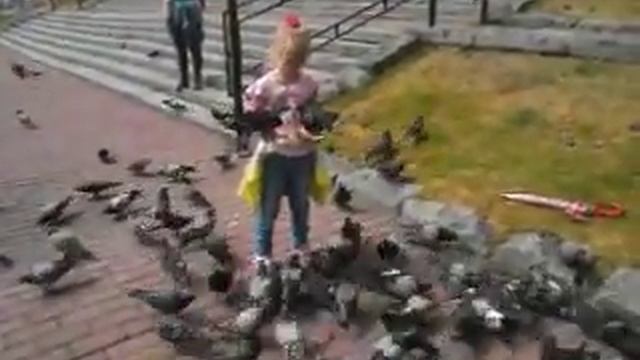 Девочка кормит голубей. смотреть онлайн