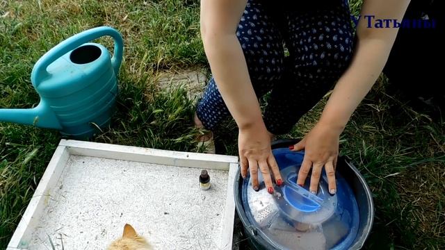 Подкормка из хлеба и йода для растений! Хлебная подкормка с йодом для огурцов, томатов и растений. смотреть онлайн