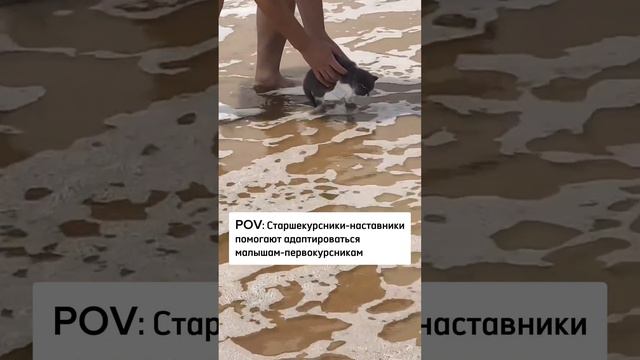 Наставник поможет и поддержит!