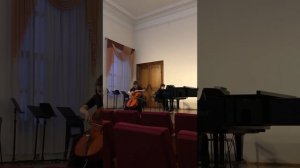 Власов "Мелодия" виолончель