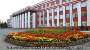 Кто такой фитодизайнер