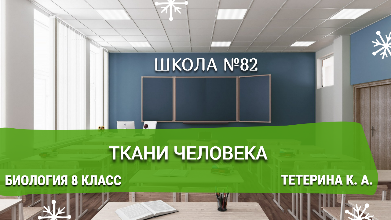 Ткани человека. Биология 8 класс. Тетерина К. А.