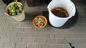 Самодельная дробилка для яблок. Быстро.