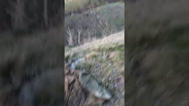 Пожар в рабочем . Опять горит авраг. #пожар #петропавловск смотреть онлайн