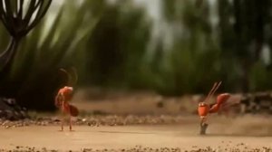 Командная работа. Мультик