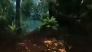 Мы идём по Уругваю...