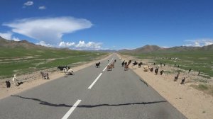 Мотоканикулы в Монголии.часть2