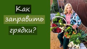Как заправить грядки? И многое другое