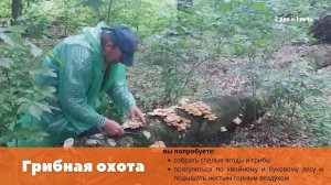 Грибная охота, анонс