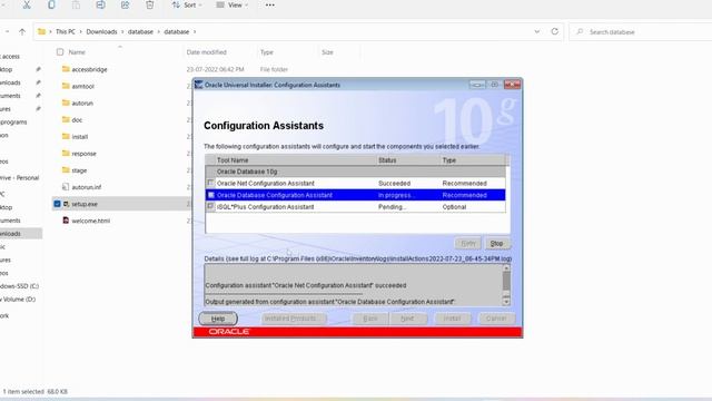 How to Download and Install Sql plus on Windows 10 and Windows 11 | Oracle 10g || SQL Software 2023