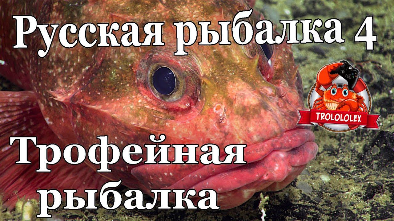 Русская рыбалка 4 Трофейная рыбалка Норвежское море смотреть онлайн