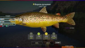 ЗАПЛАНИРОВАННАЯ ТРОФЕЙНАЯ ФОРЕЛЬ РУЧЬЕВАЯ НА БЕЛОЙ #рр4