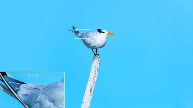 Dell UltraSharp 32 8K Monitor смотреть онлайн