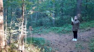 Мастер-класс "Таксация лесных насаждений"