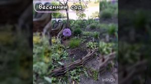 весенний сад