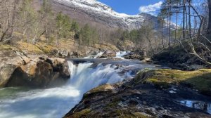 Спи сладко под шум водопада и пение птиц ORIGINAL VIDEO