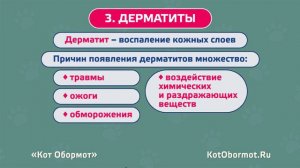Кожные заболевания у кошек