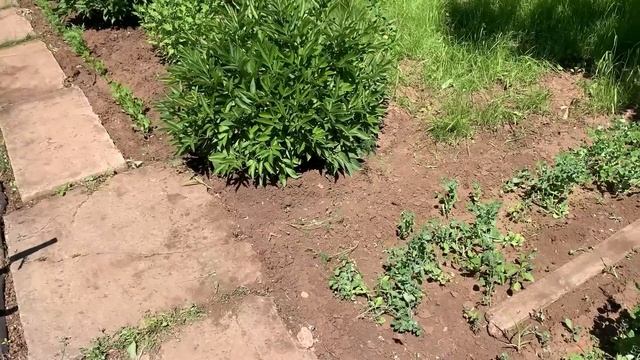 Готовлю/навожу порядок на даче смотреть онлайн