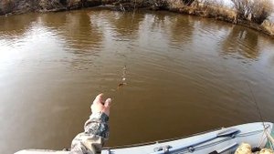 Здесь щук не сосчитать! Рыбалка на спиннинг осенью на реке Амур