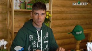 Посев комнатных растений. Какие растения можно выращивать из семян дома?