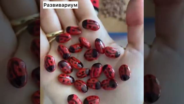 Развитый ребенок