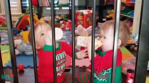 Я РЖАЛ ЦЕЛЫЙ ЧАС//САМЫЕ СМЕШНЫЕ ДЕТИ НЕЛЕПЫЕ ПАДЕНИЯ И СМЕШНЫЕ КОТЫ.