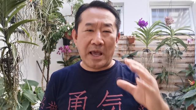 MENOPAUSA TRANQUILA A MELHOR FÓRMULA PARA OBTER NATURAL| Dr. Peter Liu смотреть онлайн