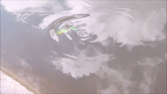 SOFTBAITS Nettel Laken смотреть онлайн