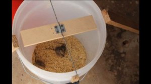 Как избавиться от крыс 11 Крутых мышеловок Крысыловки Ловля крых