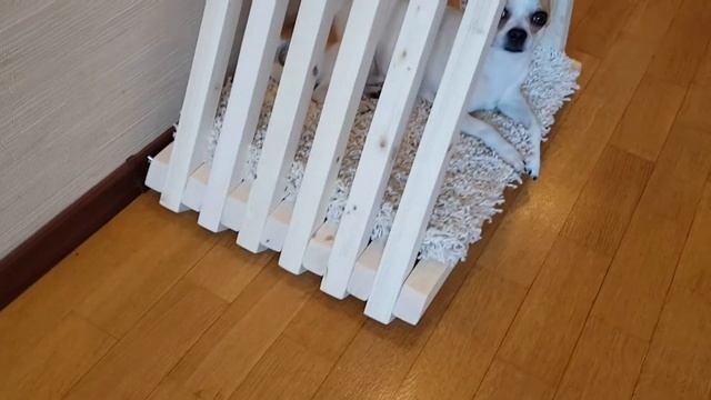 Домик для кошек или собак "Вигвам" смотреть онлайн