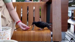 Будущим подписчикам: Кто мы и что делаем ? Тизер Канала