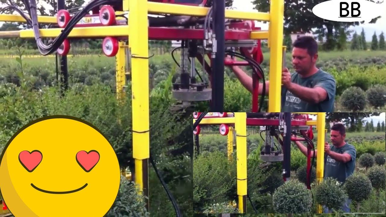 Интересные эксперименты. смотреть онлайн