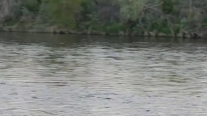 Рыбалка в Орске. Урал.  Гарюн