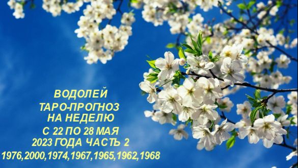 ВОДОЛЕЙ ПРОГНОЗ НА НЕДЕЛЮ С 22 ПО 28 МАЯ ЧАСТЬ 2
