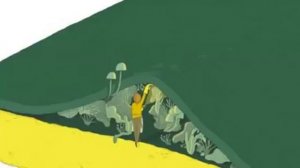 Не Ешь Микробов! Единственный Эффективный Способ «постирать» губку для Мытья Посуды