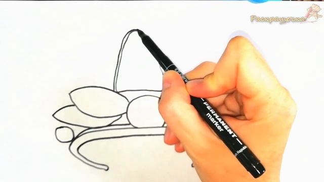 Шкатулка с украшениями рисовать поэтапно красиво и легко для детей смотреть онлайн