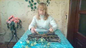 Корень лопуха и его лечебные свойства