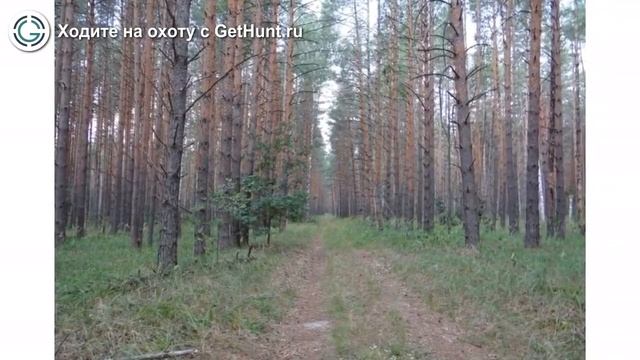 Охота в Рязанской области – Сасовская РОО ОиР 
