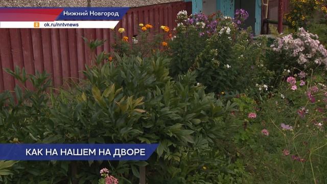 Жители Нижегородской области подали 70 заявок на участие в конкурсе «Лучший дом. Лучший двор»