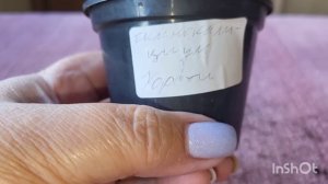 Посадка подаренных цветов. 11.07.2023.