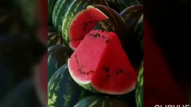 3 АВГУСТА - ДЕНЬ АРБУЗА смотреть онлайн