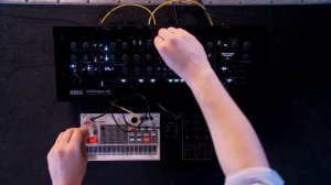 Korg Minilogue XD Module - Quick Jam