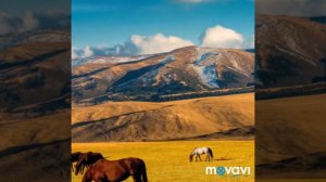 песня свободный Казахстан