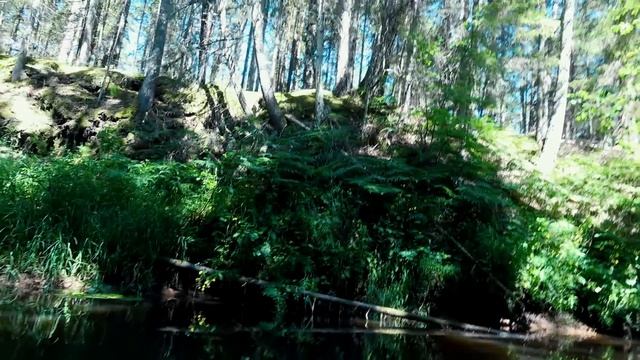 ПЕРВЫЙ СПЛАВ ЧАЙКИНА! ЧТО МЫ НАШЛИ ПОД ВОДОЙ!