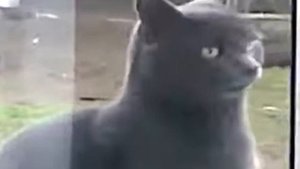 Сань! Саня ну открой