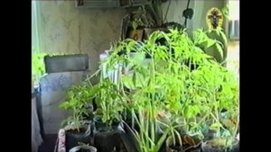 Батюшка Николай Гурьянов (1)